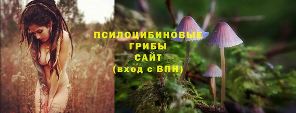 спайс Арсеньев