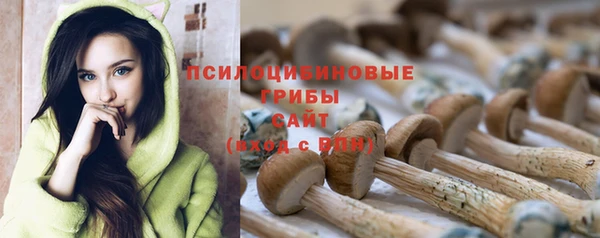 спайс Арсеньев