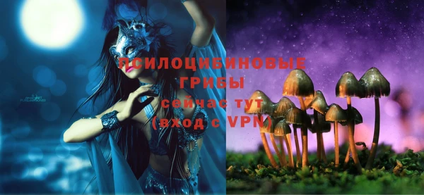ешки Алексеевка