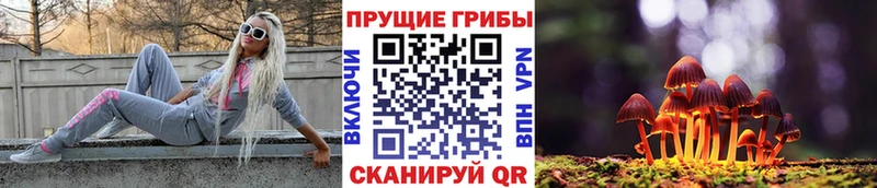 где купить наркотик  Кубинка  Галлюциногенные грибы мицелий 