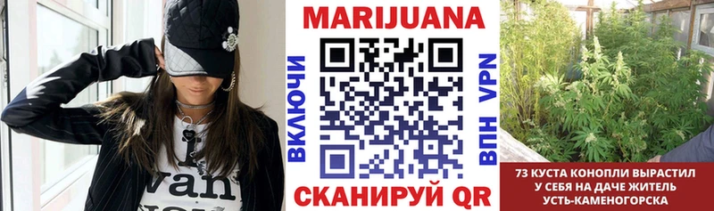 Каннабис Bruce Banner  Кубинка 